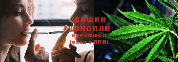 крисы Липки
