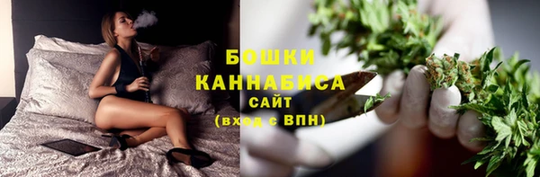 крисы Липки