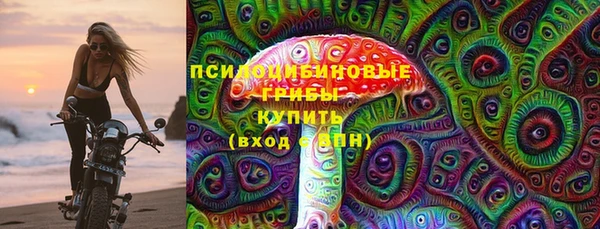 крисы Липки