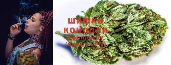 крисы Липки